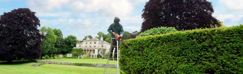 Trimming long high hedge at stately home